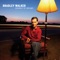 If I Hadn't Reached For the Stars - Bradley Walker lyrics