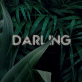 Darling artwork