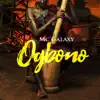 Ogbono - Single album lyrics, reviews, download