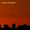 Can't Forget - Single album lyrics, reviews, download