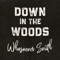 Down in the Woods artwork