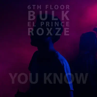 You Know (feat. Bulk, el Prince & Roxze) - Single - 6th Floor