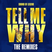 Tell Me Why (Siks Remix) artwork