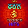 Underground Goa Trance Hits