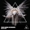 Ryan Michael Robbins, J Swink - Aura