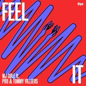 Feel It (feat. piri & tommy, piri & Tommy Villiers) artwork