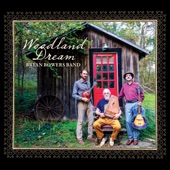 Woodland Dream (feat. Bryan Bowers, Geoff Goodhue & Danny Knicely)