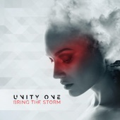 Bring the Storm (Assemblage 23 Remix) artwork