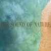 Nature Sounds - Tropical Night