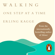 Erling Kagge - Walking