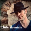 Little Mountain - Single