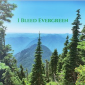 The Olson Bros Band - I Bleed Evergreen
