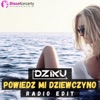 Powiedz mi dziewczyno (Radio Edit) - Single