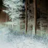 Werewolves Meeting - Single album lyrics, reviews, download