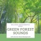 Eco Sound Background - Billy Breath lyrics