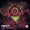 Destiny (feat. Kris Kiss) [Ranqz & Joey Steel Remix] song lyrics
