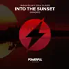 Into the Sunset (Remixes) - EP album lyrics, reviews, download