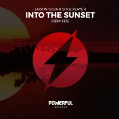 Into the Sunset (Dsbts Remix) Song Lyrics