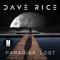 C'Mon & Take Me - Dave Rice lyrics