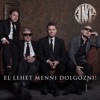 El lehet menni dolgozni! - Single