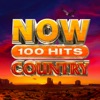 Luke Bryan - Country Girl (Shake It for Me)