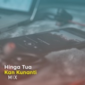 Hingga Tua Kan Kunanti (DJ Mix) artwork