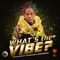 What's the Vibe? artwork