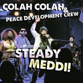 Steady Meddi! artwork