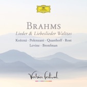 Brahms: Lieder & Liebeslieder Waltzes (Live) artwork
