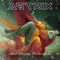 Silver Sky (Astrix Remix) artwork