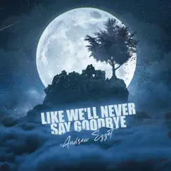 Like We'll Never Say Goodbye Song Lyrics