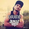 Stream & download Jungli Sher - Single