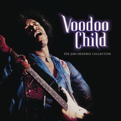 VOODOO CHILD - THE COLLECTION cover art