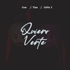 Quiero Verte - Single