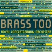 Brass Too (Live) artwork