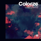 Colorize Best of 2020 (Mixed by Estiva) artwork