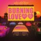 Burning Love (feat. Noa VD) - Alex del Toro lyrics