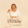 Peace in the Storm - Single