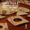 Life Is a Lesson (feat. Vivian K & Boddhi Satva) album lyrics, reviews, download