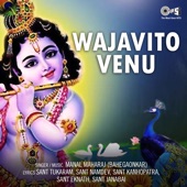 Vithevari Ubha Deenancha Kaiwari artwork