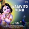 Vithevari Ubha Deenancha Kaiwari artwork