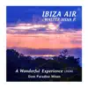 A Wonderful Experience (Dom Paradise Remix 2020) - Single album lyrics, reviews, download