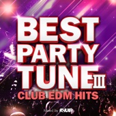 BEST PARTY TUNE Ⅲ -CLUB EDM HITS- mixed by RYUYA (DJ MIX) artwork
