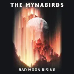 Bad Moon Rising - Single by The Mynabirds album reviews, ratings, credits