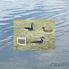 No Ducks in Grass (Or Geese!!!) - EP by Responsible Party album reviews, ratings, credits