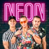 Beleza Pura (novela)