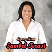 Sambel Terasi artwork