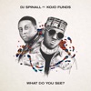 What Do You See? (feat. Kojo Funds) - Single