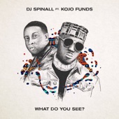 What Do You See? (feat. Kojo Funds) artwork