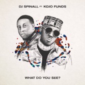 DJ Spinall - What Do You See? (feat. Kojo Funds)
